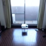 最近流行り？ミニマリスト