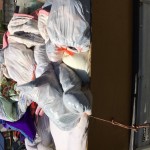 福岡市東区生前整理